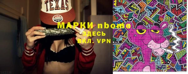 стаф Алексин